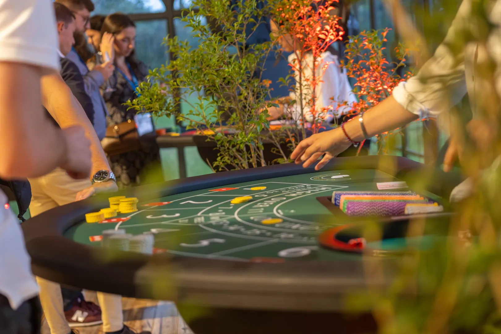 animation team building CASINO DU VIN Fréjus
